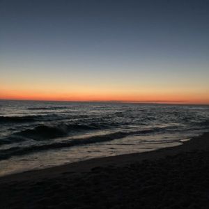 Meet your Posher, Mia